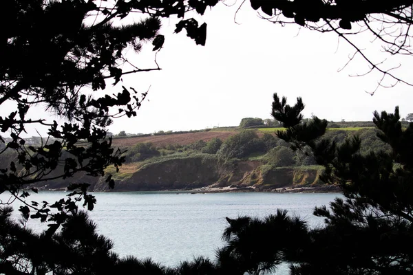 View Helford Estuary Foliage — Fotografia de Stock