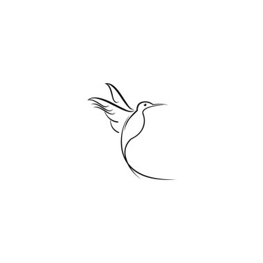 Hummingbird illustration vector logo design. Bird vector logo design. Bird icon