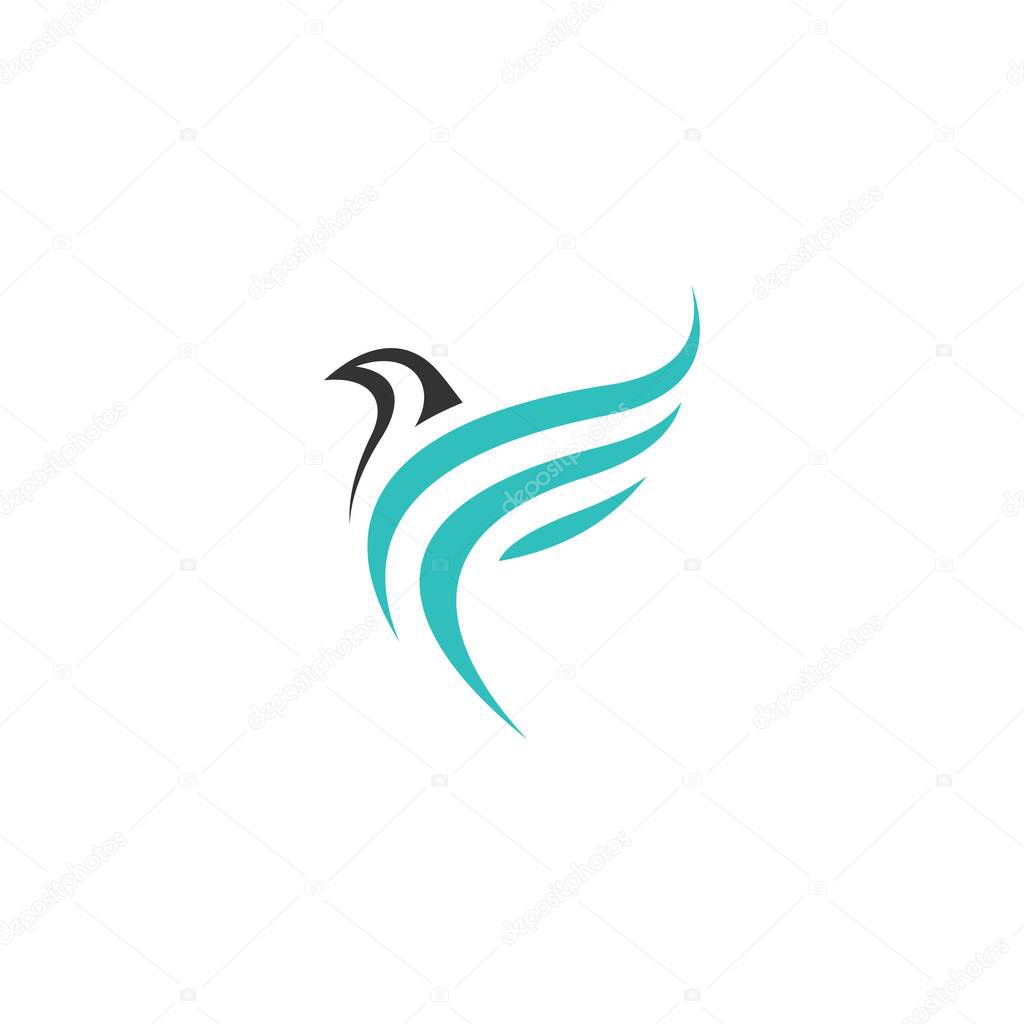 Falcon Logo template icon vector illustration design on white background.