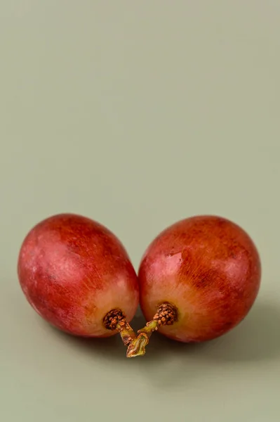 Two Red Grapes Plain Background — Fotografie, imagine de stoc