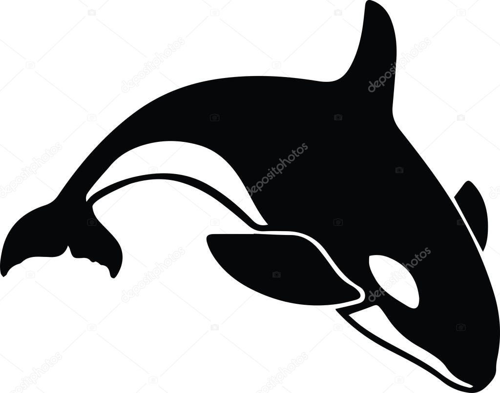 Killer Whale Ocean Animal Orca Cute Design Symbol Logo. Vector illustration