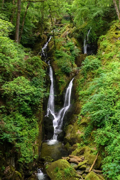 Stock Ghyll Force Waterfall Ambleside Lake District National Park — Fotografia de Stock