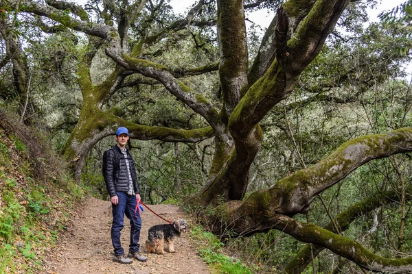 Oakland, California 'da köpek gezdiren bir adam. Yüksek kalite fotoğraf