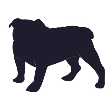 Bulldog silhouette. Bulldog vector graphic on transparent background, dog vector