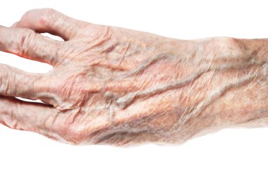 Hand of old 90 year old woman grandmother isolated on white background.