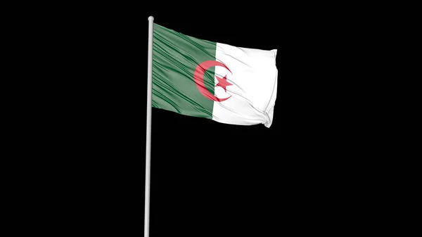 Algeria National Flag Flying Image — Zdjęcie stockowe