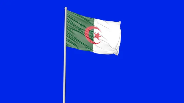 Algeria National Flag Flying Image — Fotografia de Stock