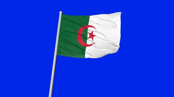 Algeria National Flag Flying Image — Fotografia de Stock
