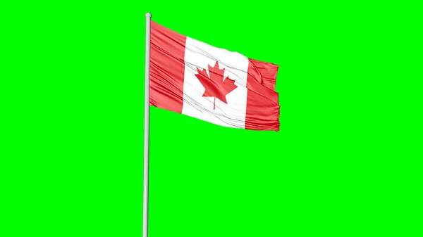 Canada National Flag Image — 스톡 사진