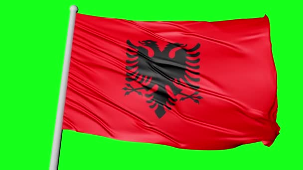 Albania National Flag Flying Video — Stok video