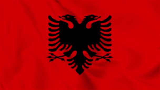 Albania National Flag Flying Video — Stock Video