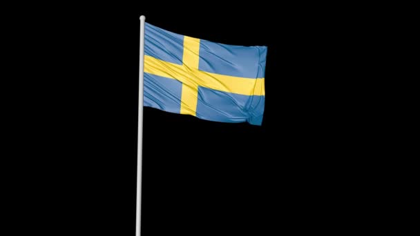 Sweden Green Screen Flag Flying Video — Wideo stockowe