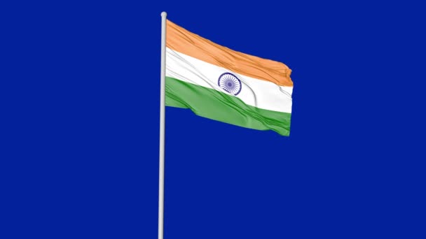 Indian Black Screen Flag Video — Stock videók