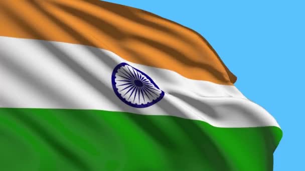 Indian Flag Flying Sky Video — Stockvideo