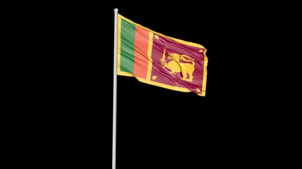 Sri Lanka Black Screen Flag Video — Stock Video