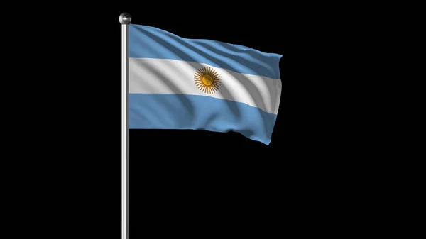 Argentina National Flag Flying Images