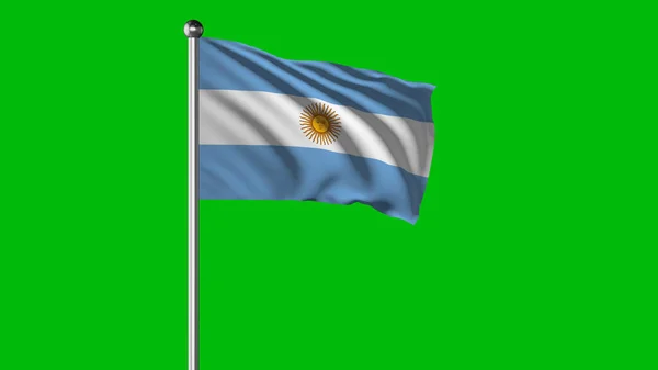 Argentina National Flag Flying Images — Stock fotografie
