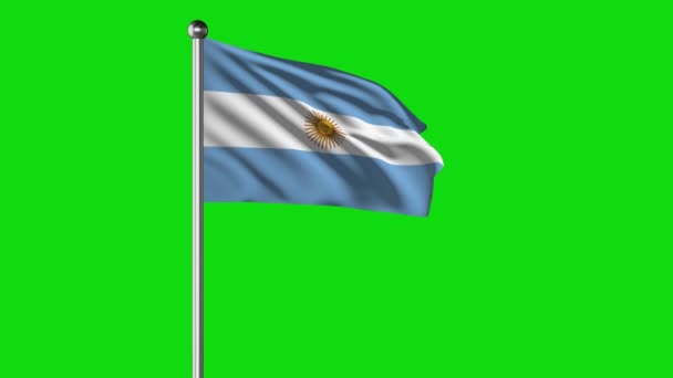 Argentina National Flag Flying Video — Stock Video