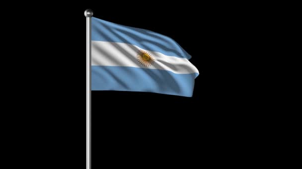 Argentina National Flag Flying Video — Stockvideo
