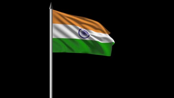 India Flag Flying Video — Stockvideo