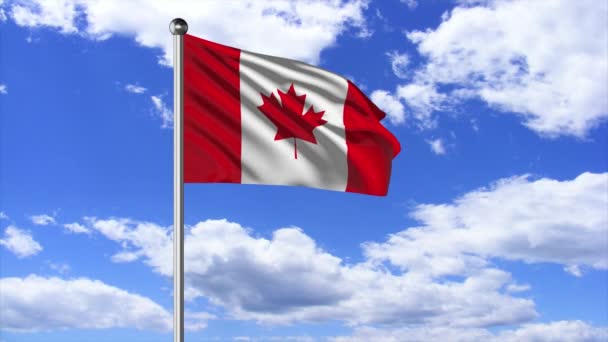 Canada National Flag Flying Video — Stockvideo