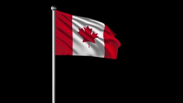 Canada National Flag Flying Video — Stock Video