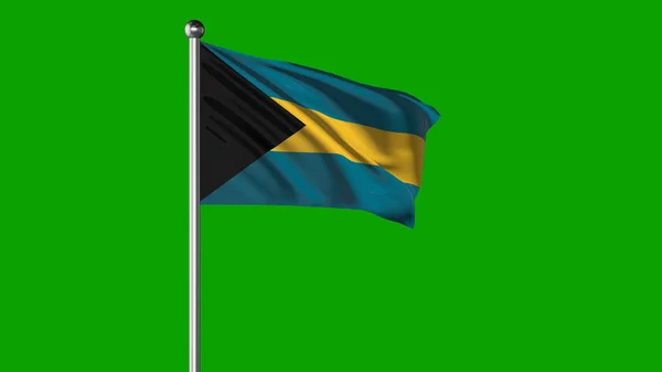 Bahamas National Flag Flying Image – stockfoto