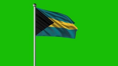  The Bahamas Flag Flying 4K Video 