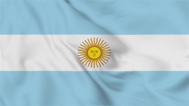 Argentina Flag Flying Video — Stockvideo