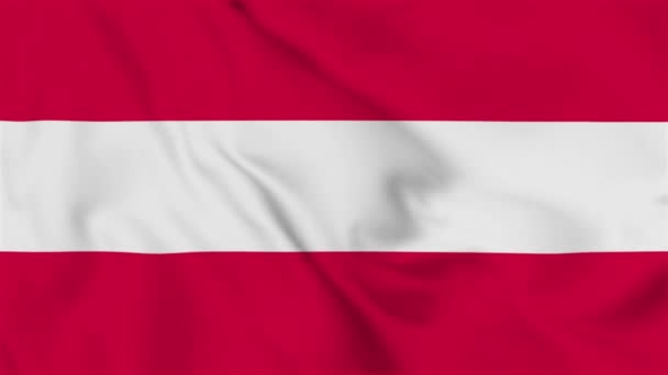 Austria Flag Flying Video — Stockvideo