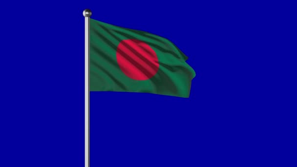 Bangladesh Flag Flying Video — Stock Video