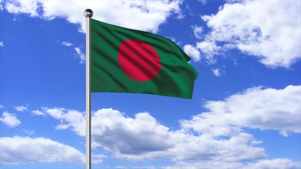 Bangladesh Flag Flying Video — Stock video