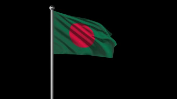 Bangladesh Flag Flying Video — Stock Video
