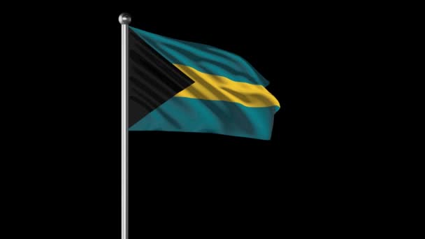 Bahamas Flag Flying Video — ストック動画