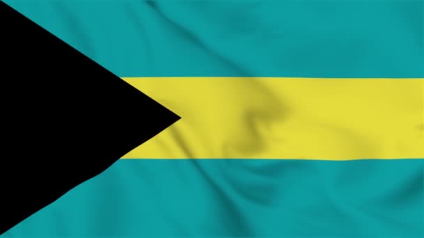 Bahamas Flag Flying Video — Stockvideo