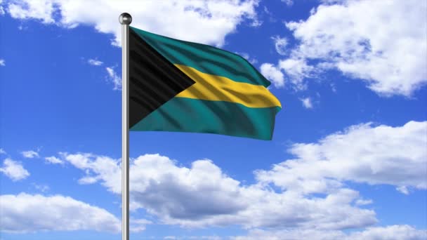 Bahamas Flag Flying Video — Stockvideo