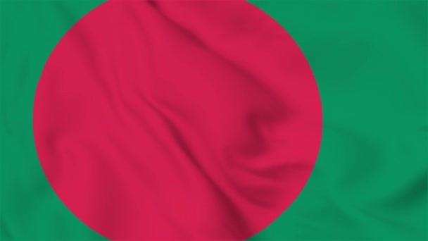 Bangladesh Flag Flying Video — Stockvideo