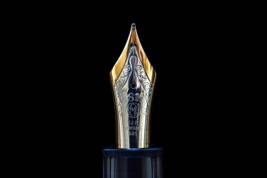 Fountain Pen. Feather of a Montblanc Meisterstck 149 