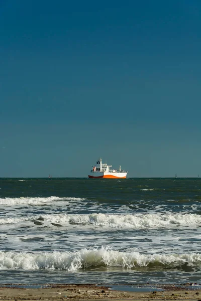 Cargo Ship Horizon Santos Bay Brazil Blue Sky Day — 图库照片