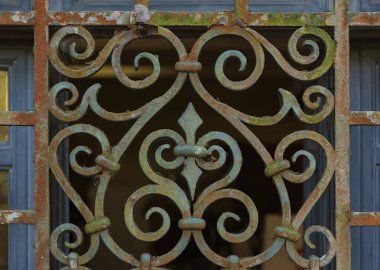 Old ornate wrought-iron grille in the floral shape window. Rust, slime and the worn blue paint.