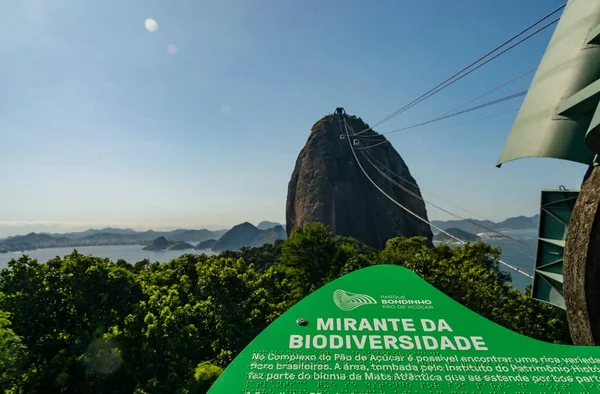 Ріо Жанейро Бразилія Травня 2022 Року Біорізноманіття Кабель Цукровій Тростині — стокове фото
