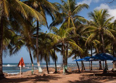 Itaipu Beach. Coconut trees, rocks, sea and in the background the city of Salvador, Bahia.