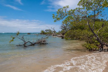 Morro de Sao Paulo, Bahia, Brazil. Blue sky, clouds, different shades of turquoise in the sea and aquatic plants. Natural landscape on the beach.