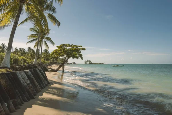 Morro de Sao Paulo, Bahia, Brazil. Natural landscape on the beach in the afternoon at high tide.