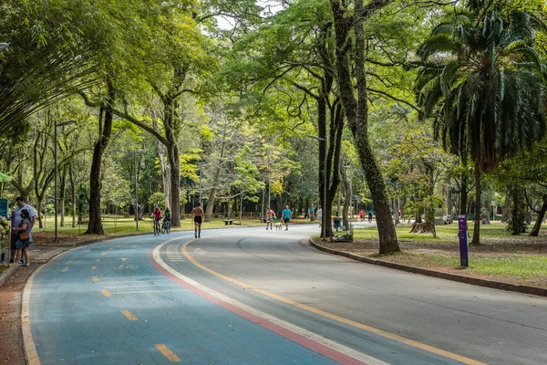 Ibirapuera Park, Sao Paulo, Brazil. September 30, 2021: Blue bike path curve on sidewalk. People playing sports and walking through the green landscape of the park.