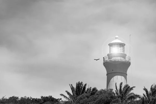 Morro de Sao Paulo, Bahia, Brezilya. Köyün deniz feneri. Siyah beyaz bir resim. 