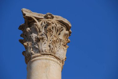 Arkasında mavi gökyüzü olan tarihi Efes şehrinin Greko-Romen sütunları ve kalıntıları. Selcuk, İzmir, Türkiye 'deki Arkeoloji Bölgesi. 