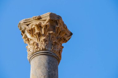 Selçuk, İzmir, Türkiye. Arkasında mavi gökyüzü olan tarihi Efes şehrinin Greko-Romen sütunu. Arkeolojik Alan. 