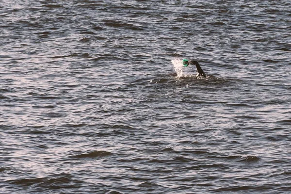 Zwemmer Sportman Zwemmen Zeewater — Stockfoto