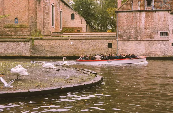 Bruges Belgium Tourists Boating Minnewater Park Lake Love Autumn Bruges — Stock Photo, Image